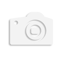 Weidmuller 1010100000 WPE 4 Исполнение: Клеммы PE, Винтовое соединение, 4 мм.кв, 480 A (4 мм.кв), зеленый/желтый